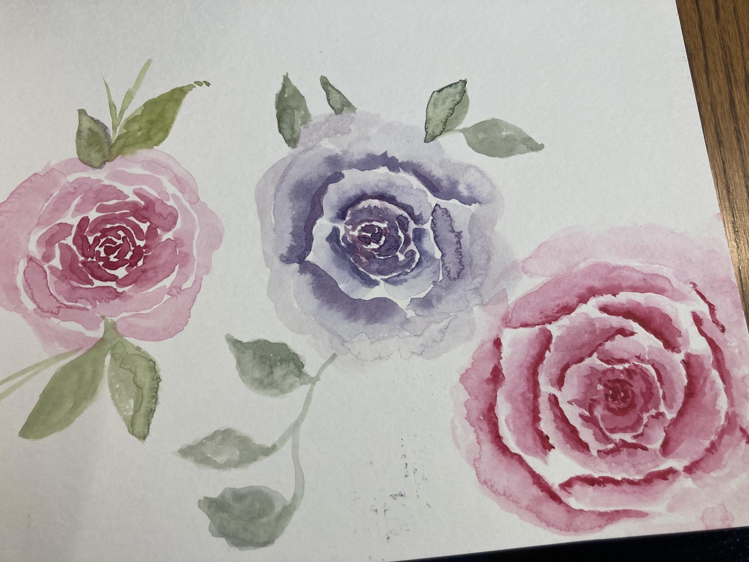 Rose - image 1 - student project