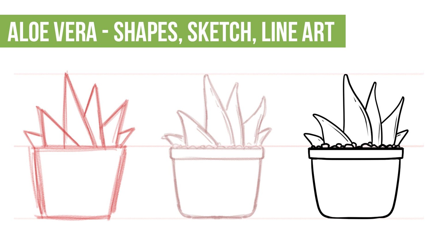 My Aloe Veras In Different Colors! - image 3 - student project