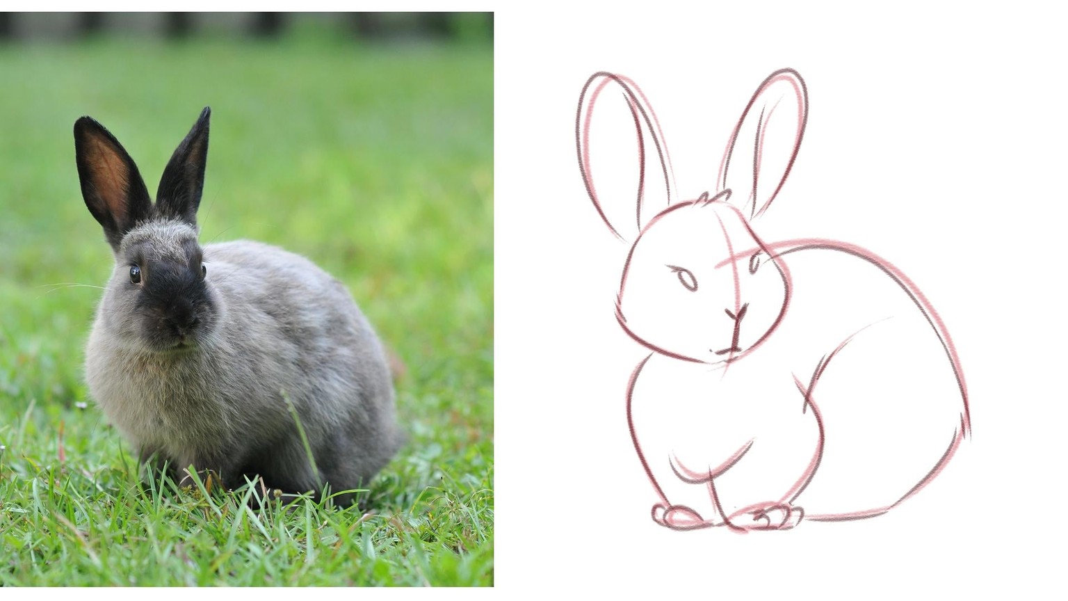 My Cute Bunny! - image 3 - student project