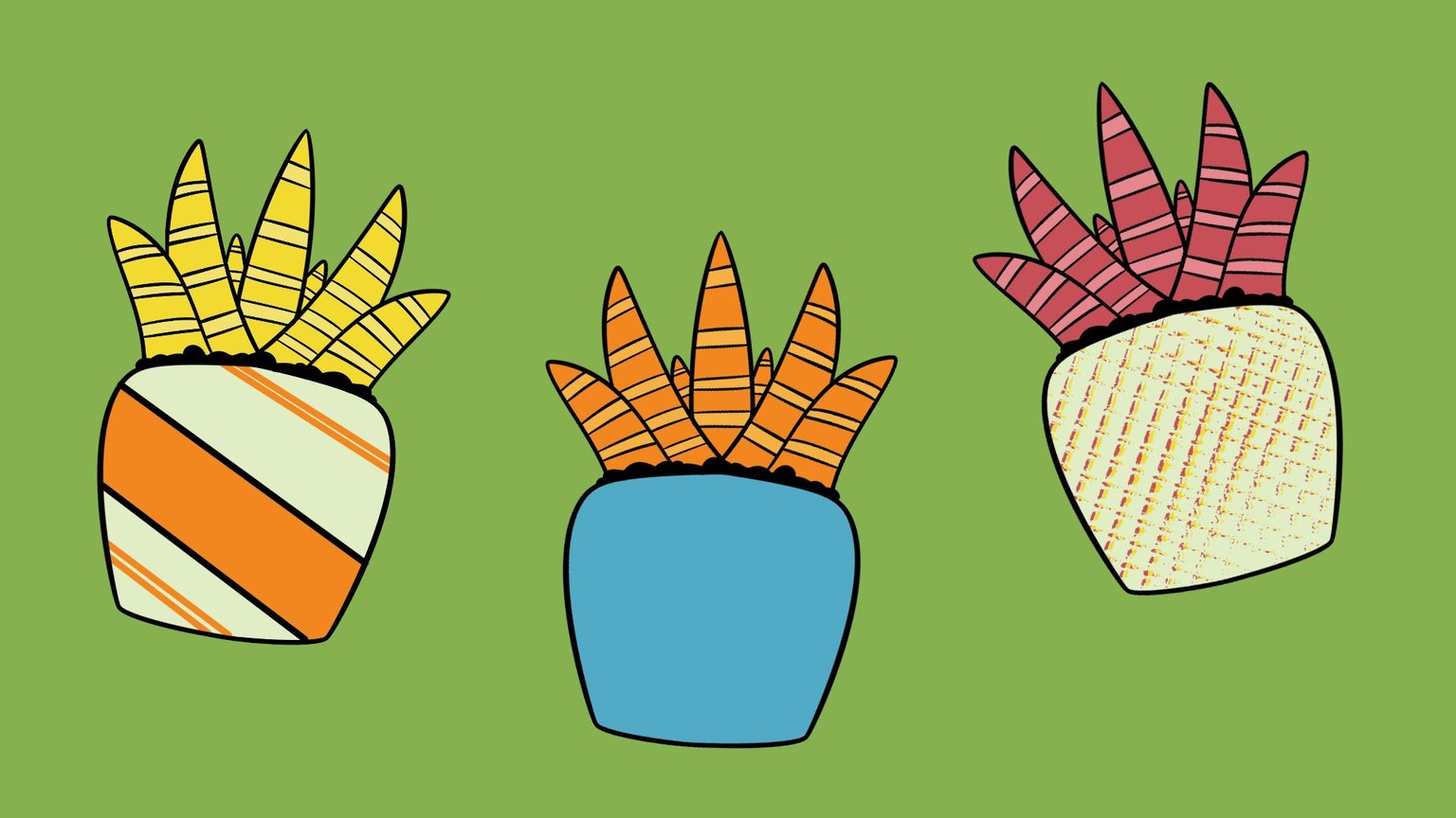 My Aloe Veras In Different Colors! - image 1 - student project