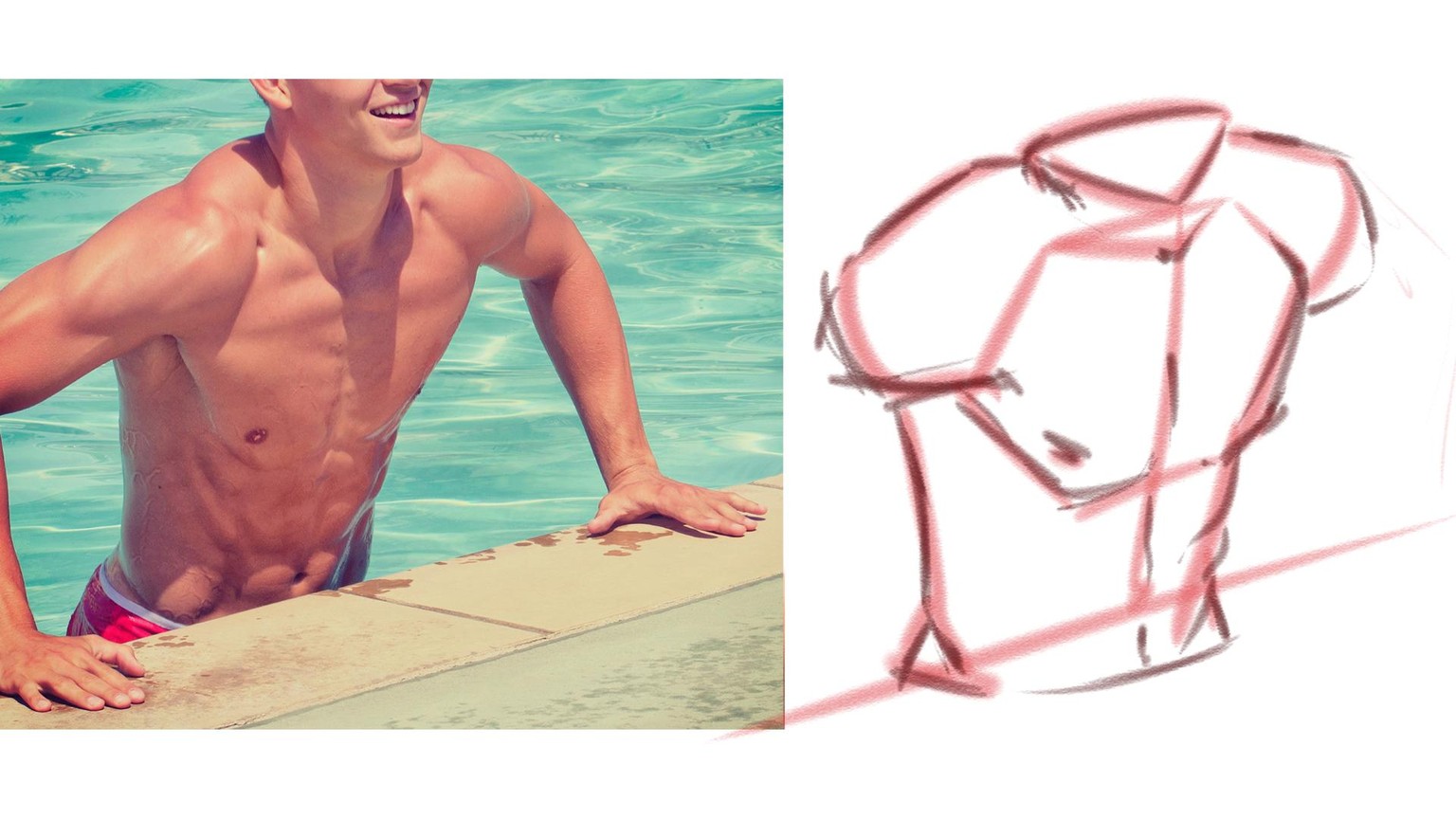 Torso Drawing! Drawing some Muscles - image 3 - student project
