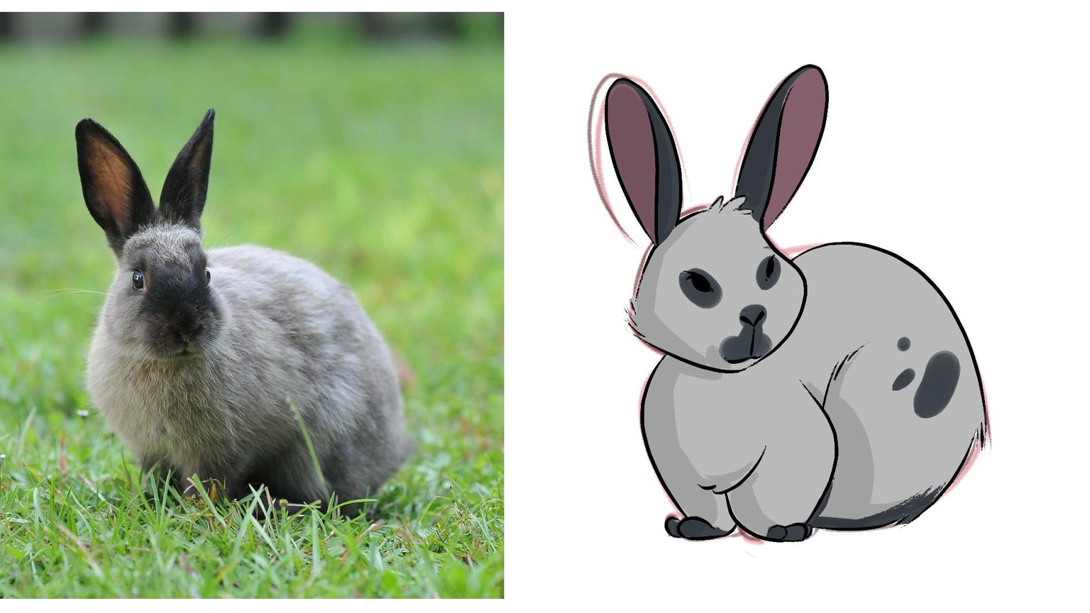 My Cute Bunny! - image 5 - student project