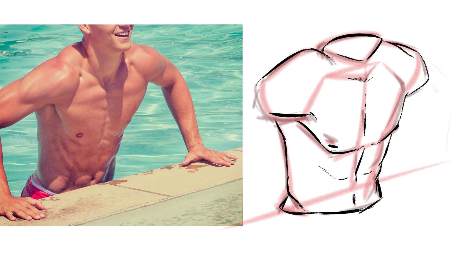 Torso Drawing! Drawing some Muscles - image 4 - student project