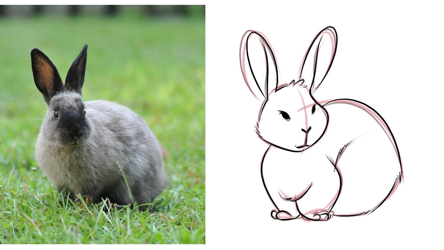 My Cute Bunny! - image 4 - student project