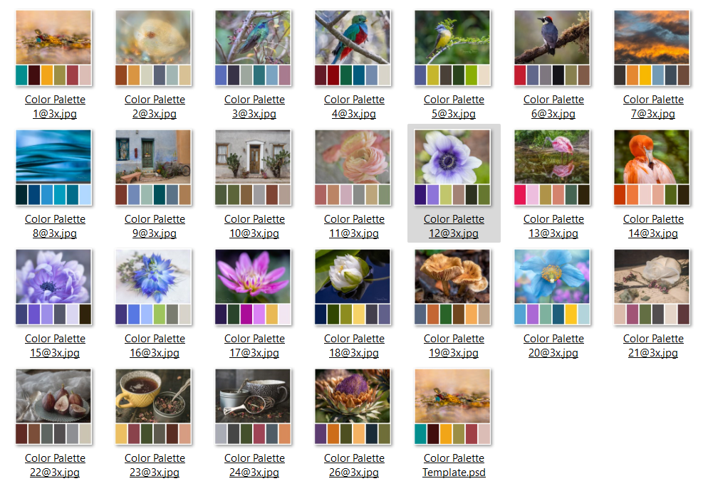 My Color Palettes - image 1 - student project