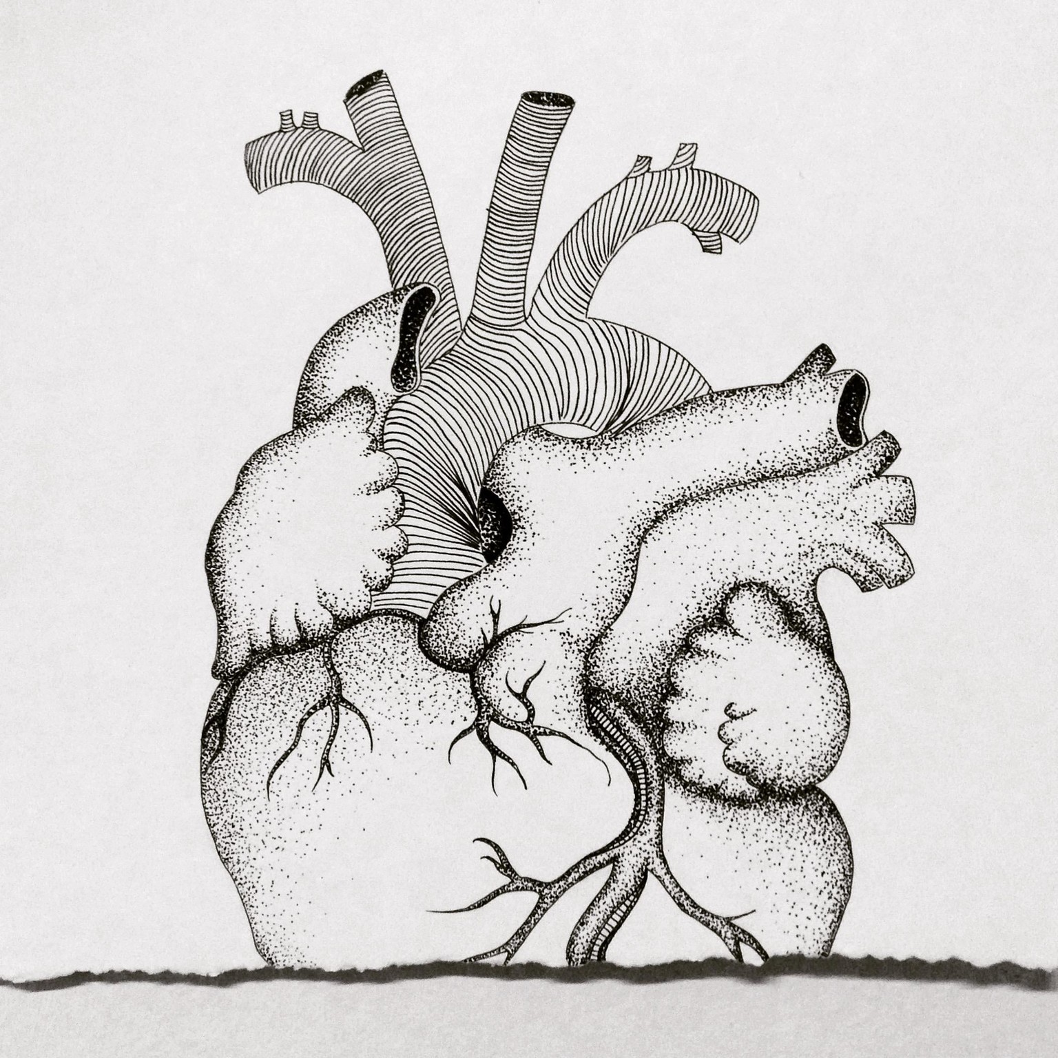 Heart - image 1 - student project