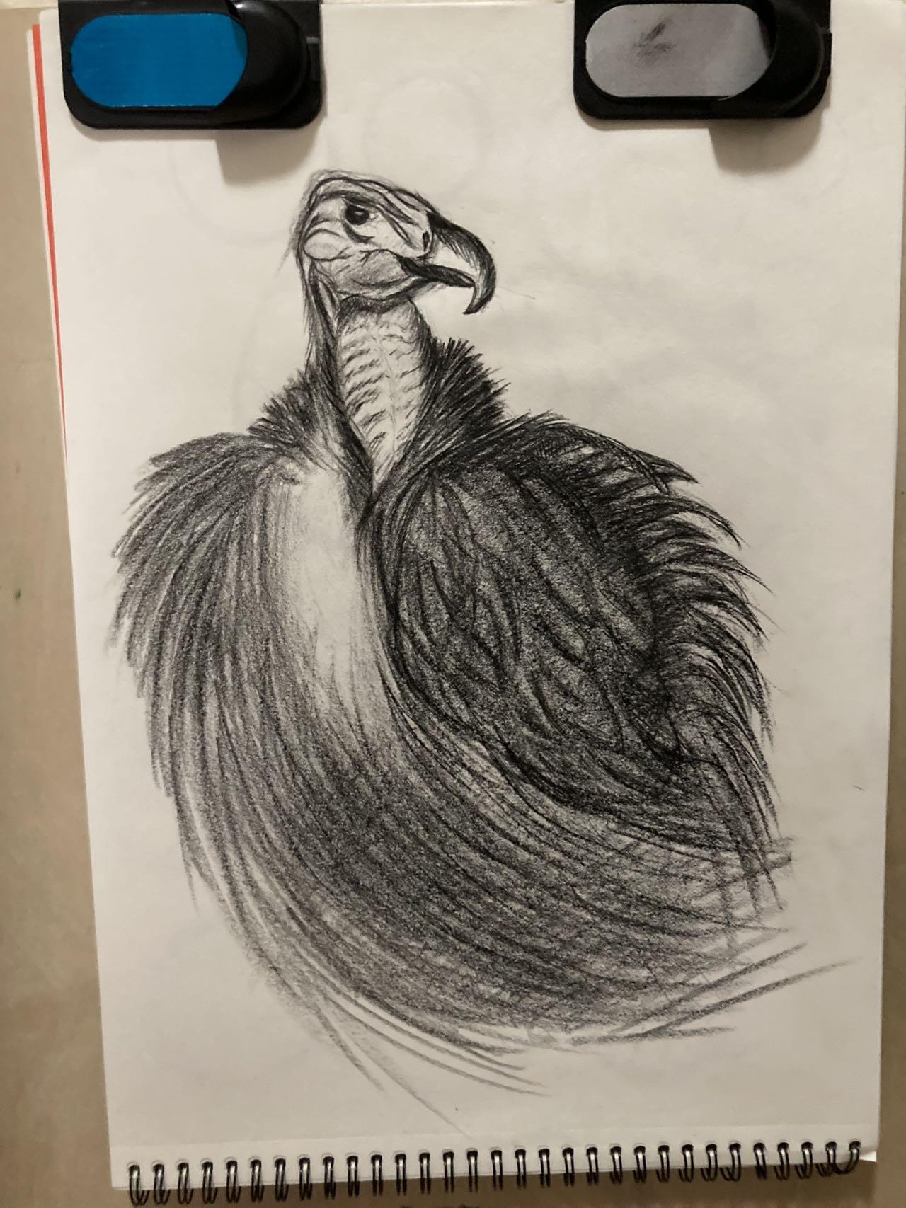 Learning the Language of Lines - image 1 - student project