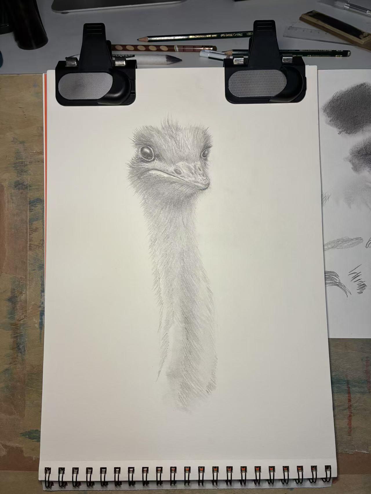 Realistic (and judgmental) Ostrich - image 3 - student project