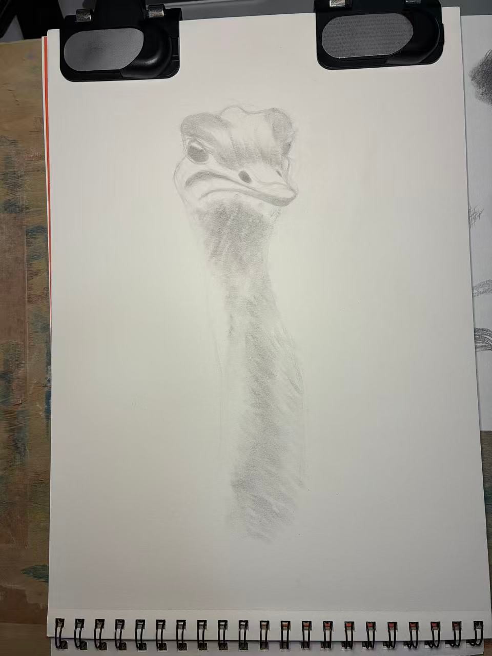 Realistic (and judgmental) Ostrich - image 2 - student project