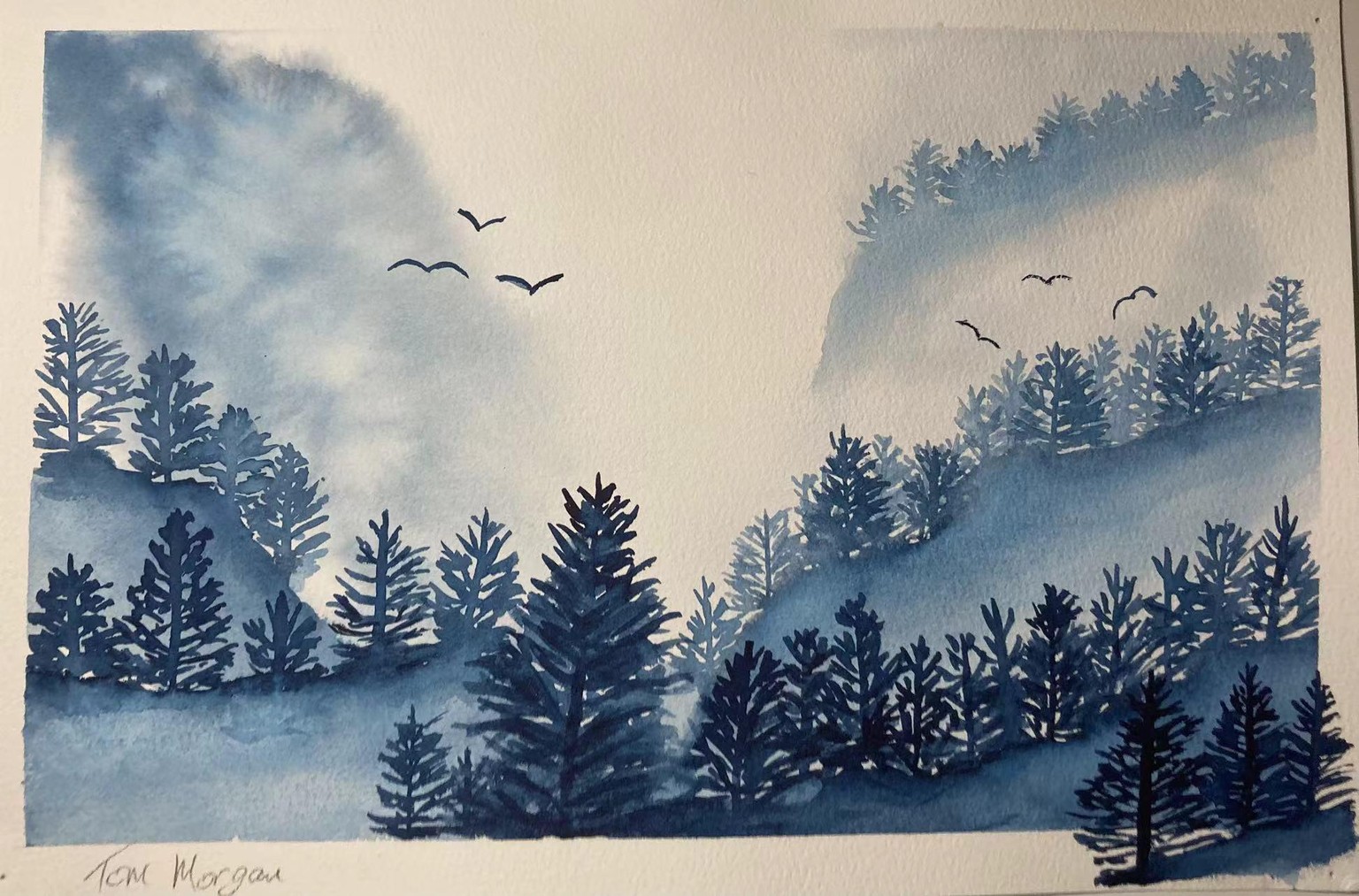 Misty Pines and Floating Treelines - image 3 - student project