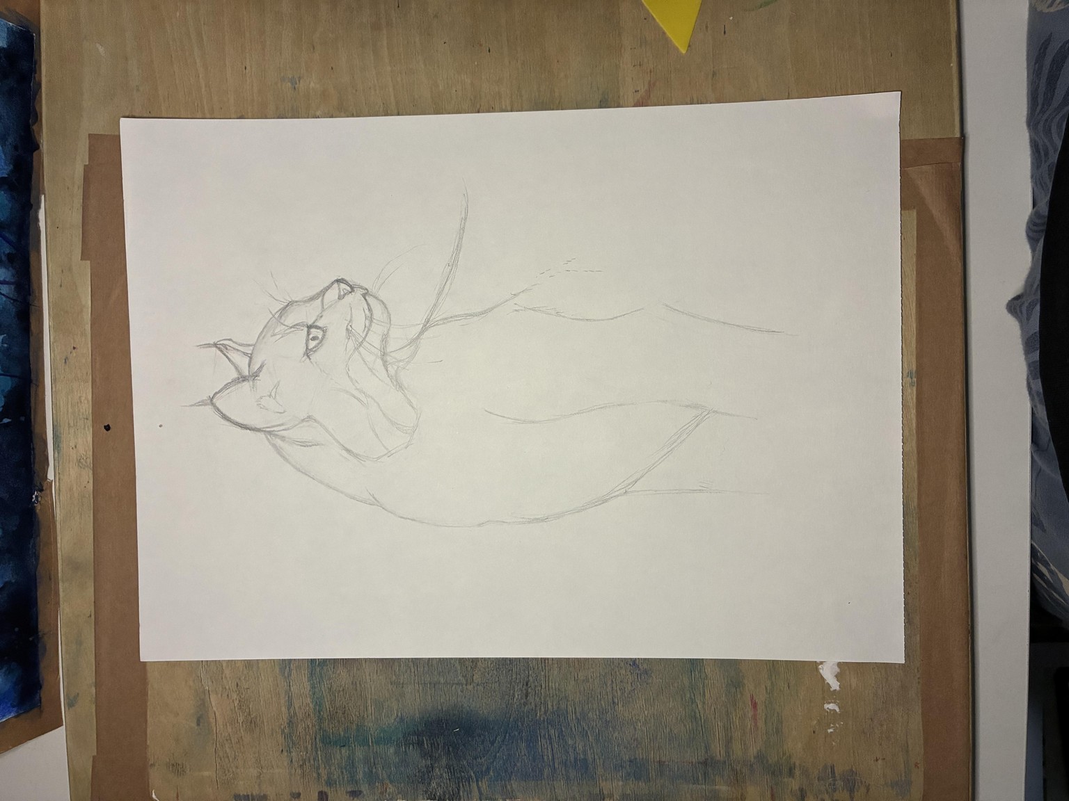 Lynx in Kyanite and Warm Grey - image 3 - student project