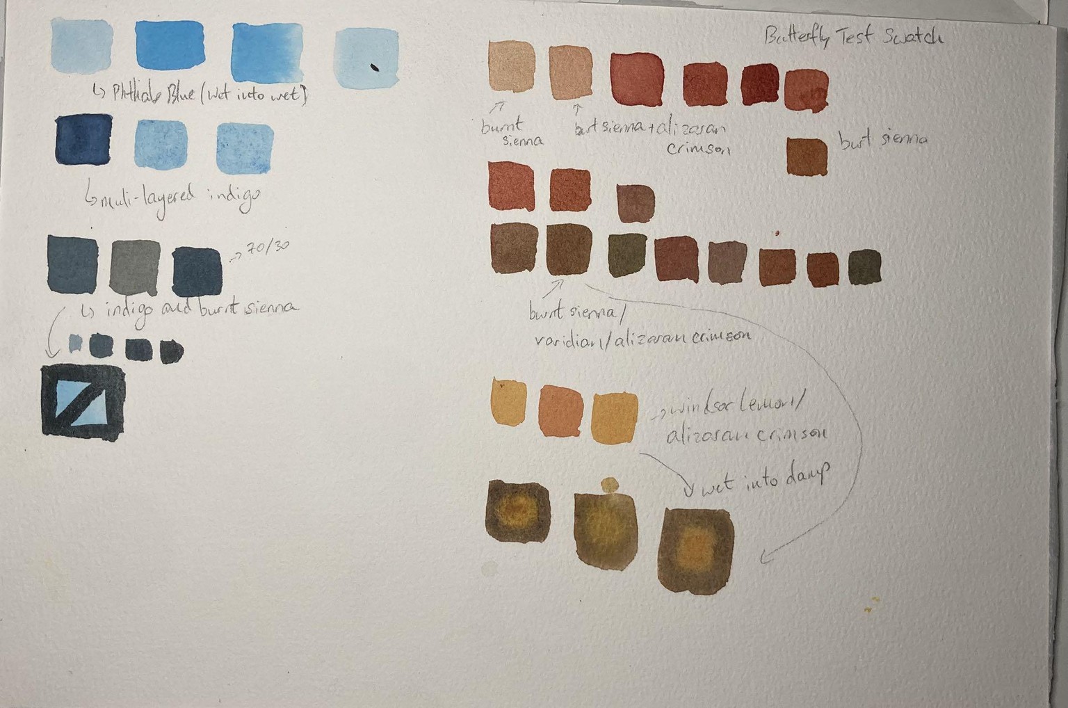 British and South East Asian Specimens - image 4 - student project