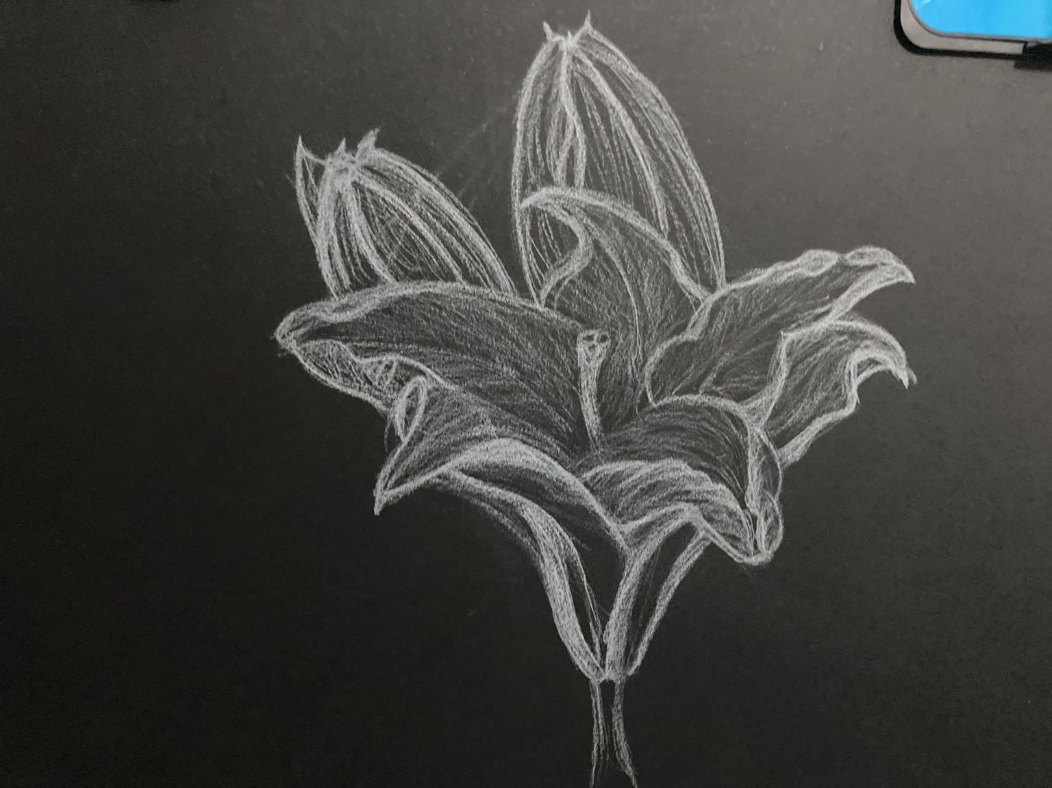 Learning the Language of Lines - image 3 - student project