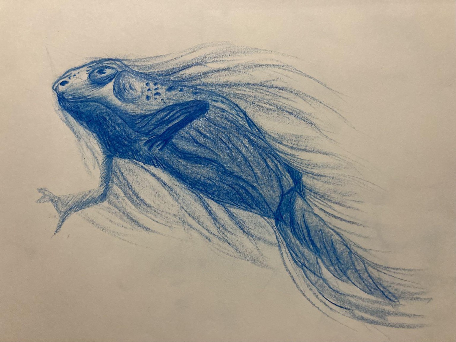 Learning the Language of Lines - image 5 - student project