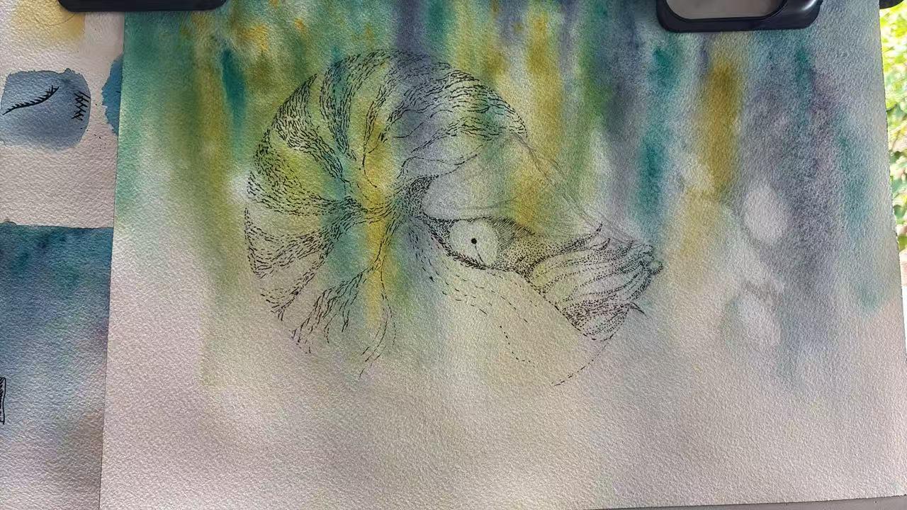 Nautiloid using Ink over Watercolour - image 2 - student project