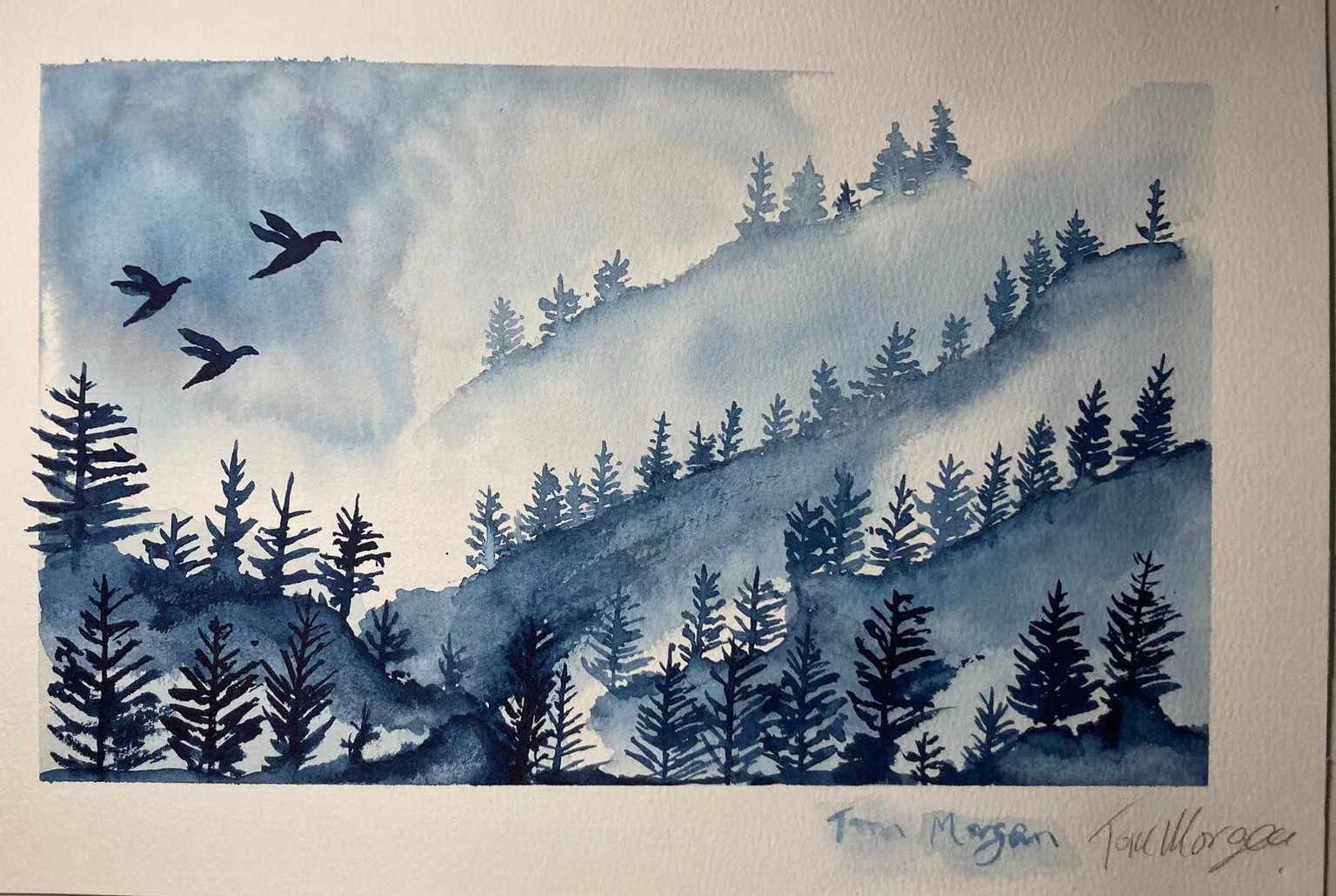 Misty Pines and Floating Treelines - image 2 - student project