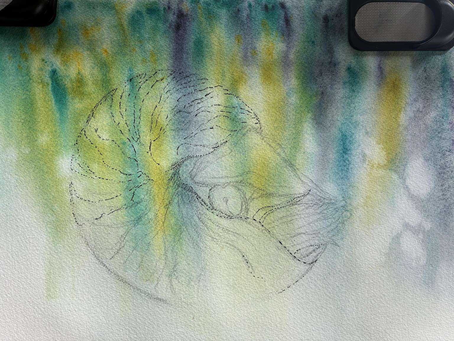 Nautiloid using Ink over Watercolour - image 1 - student project