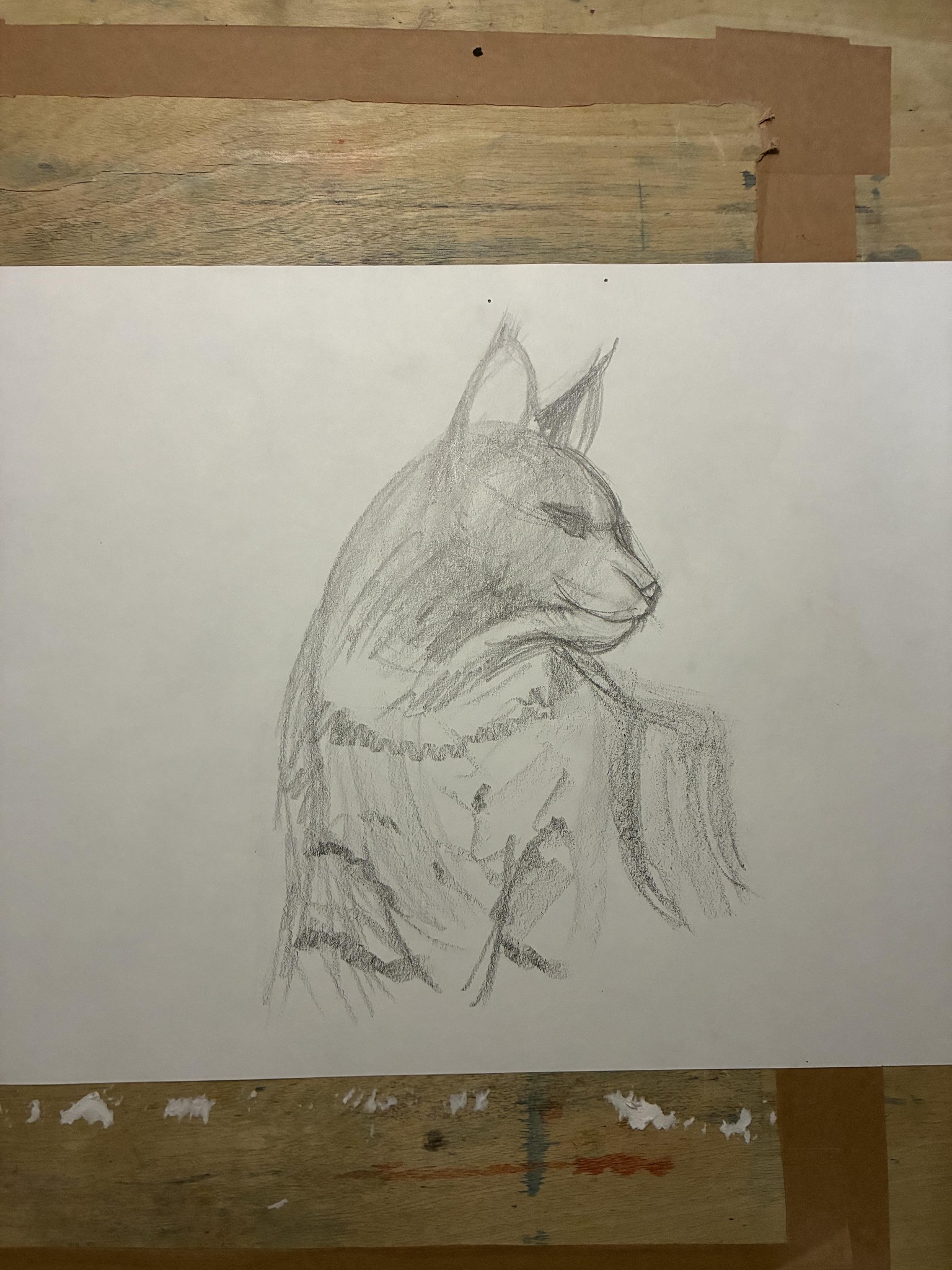 Lynx in Kyanite and Warm Grey - image 2 - student project