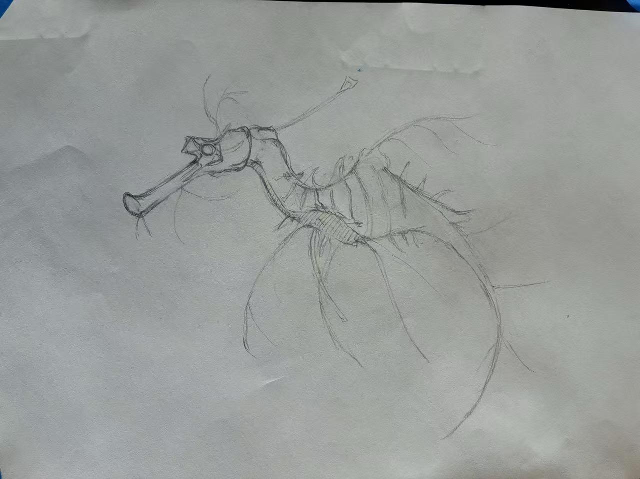 Leafy Sea Dragon - image 1 - student project
