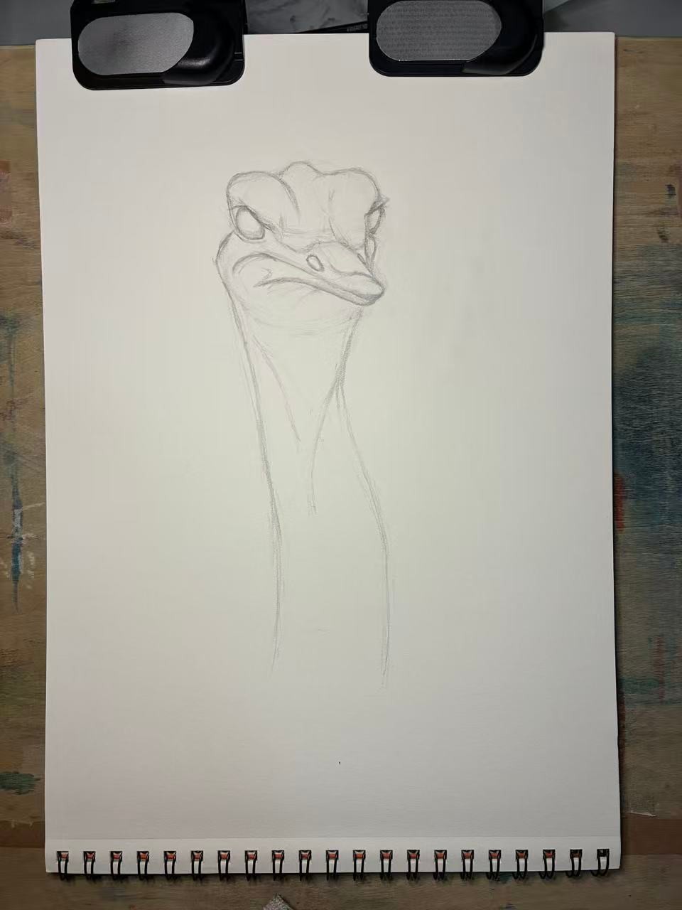 Realistic (and judgmental) Ostrich - image 1 - student project