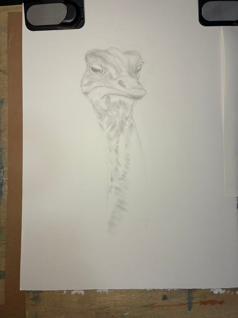 Realistic (and judgmental) Ostrich - image 5 - student project
