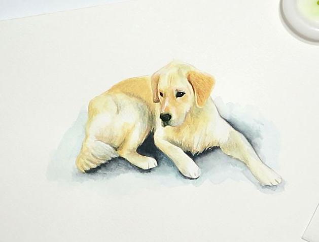 Dog Illustration - Balú - image 8 - student project