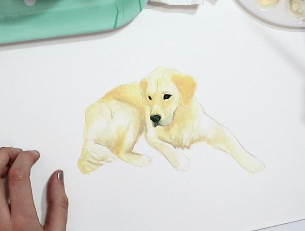 Dog Illustration - Balú - image 6 - student project