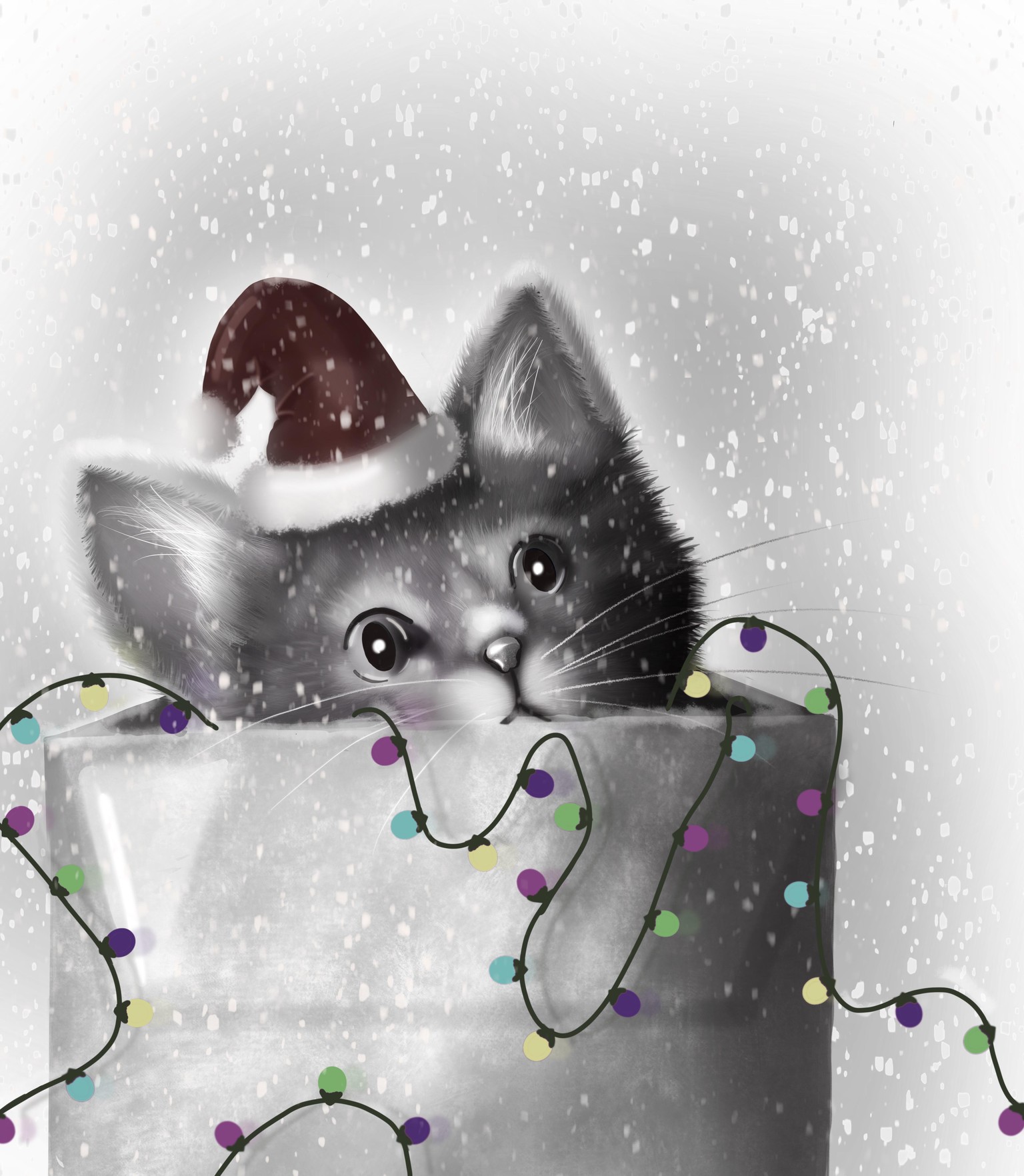 Cat - image 5 - student project