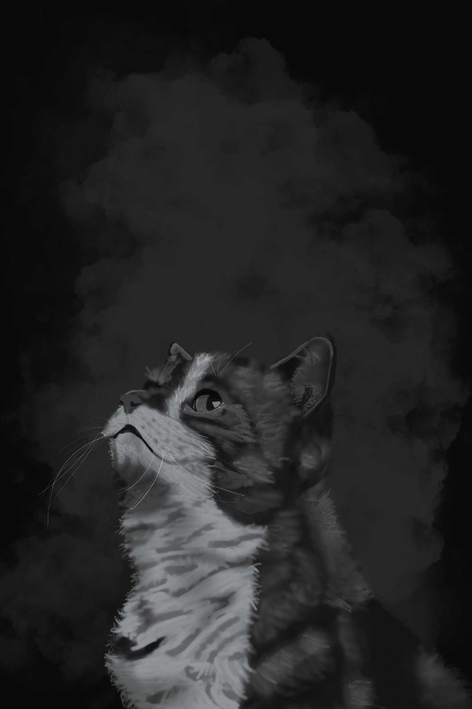 Cat - image 1 - student project