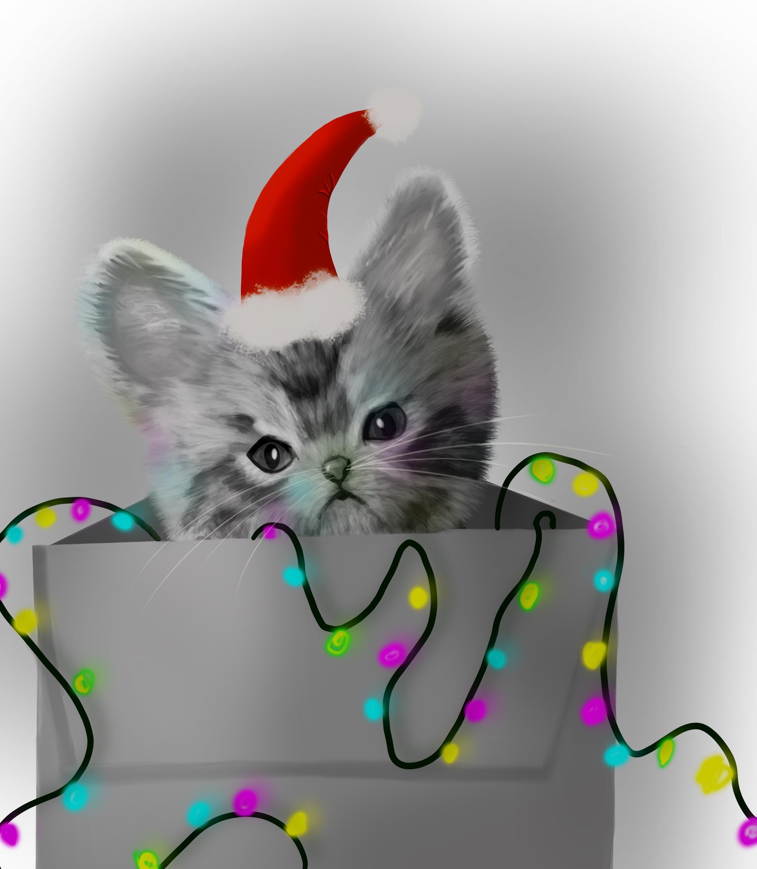 Cat - image 3 - student project