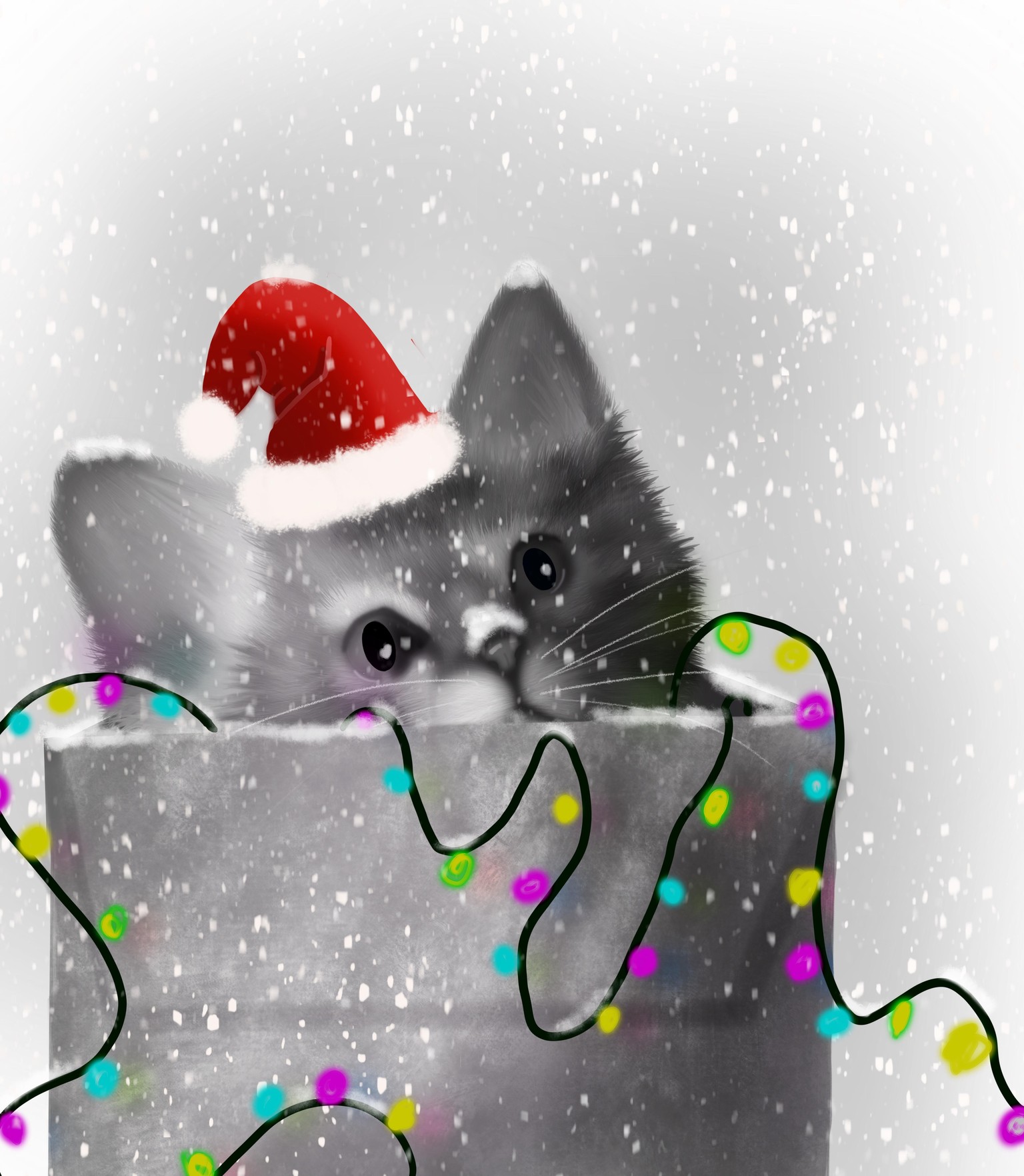 Cat - image 4 - student project