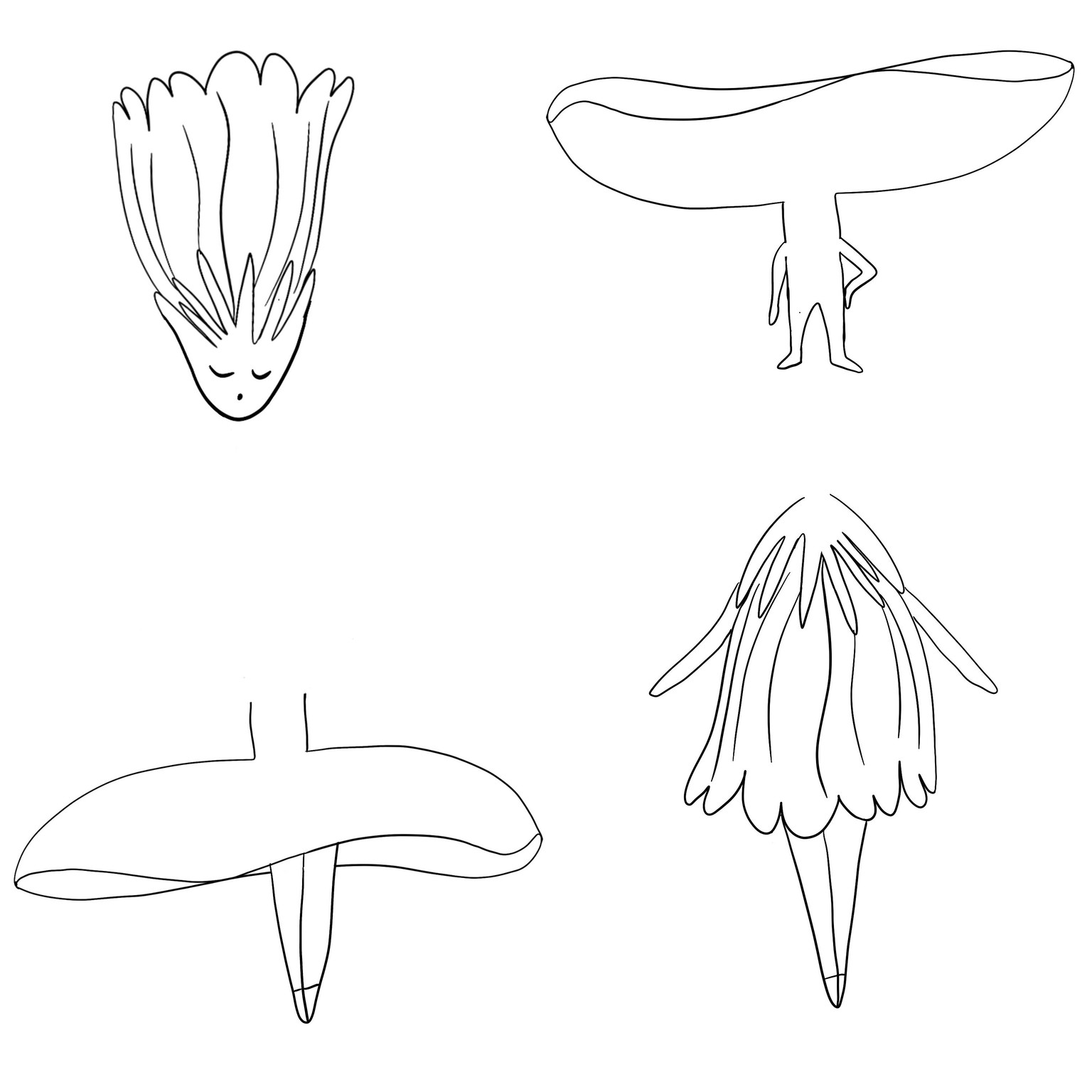 Botanical character illustration - image 2 - student project