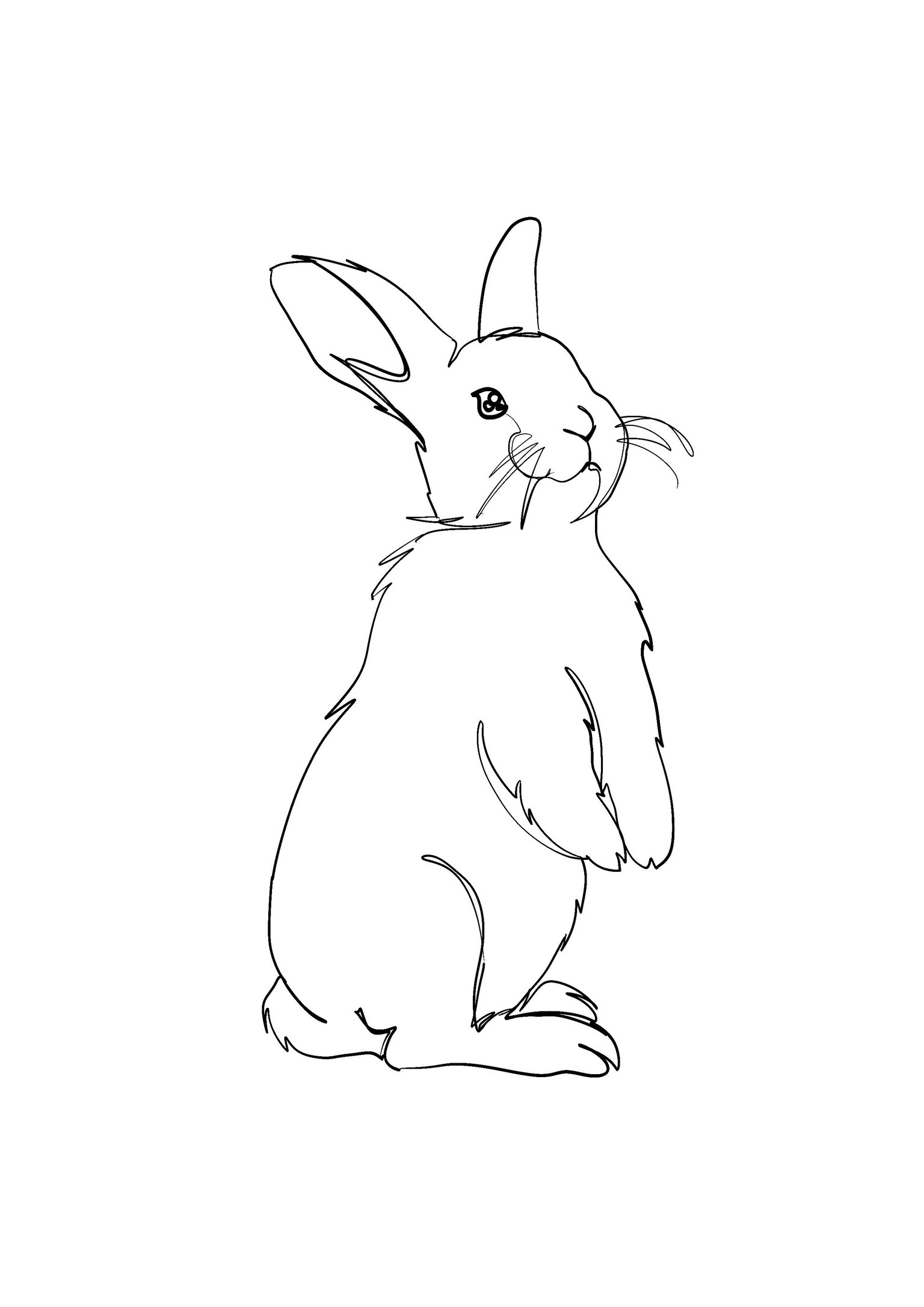 One line drawing rabbit - image 2 - student project