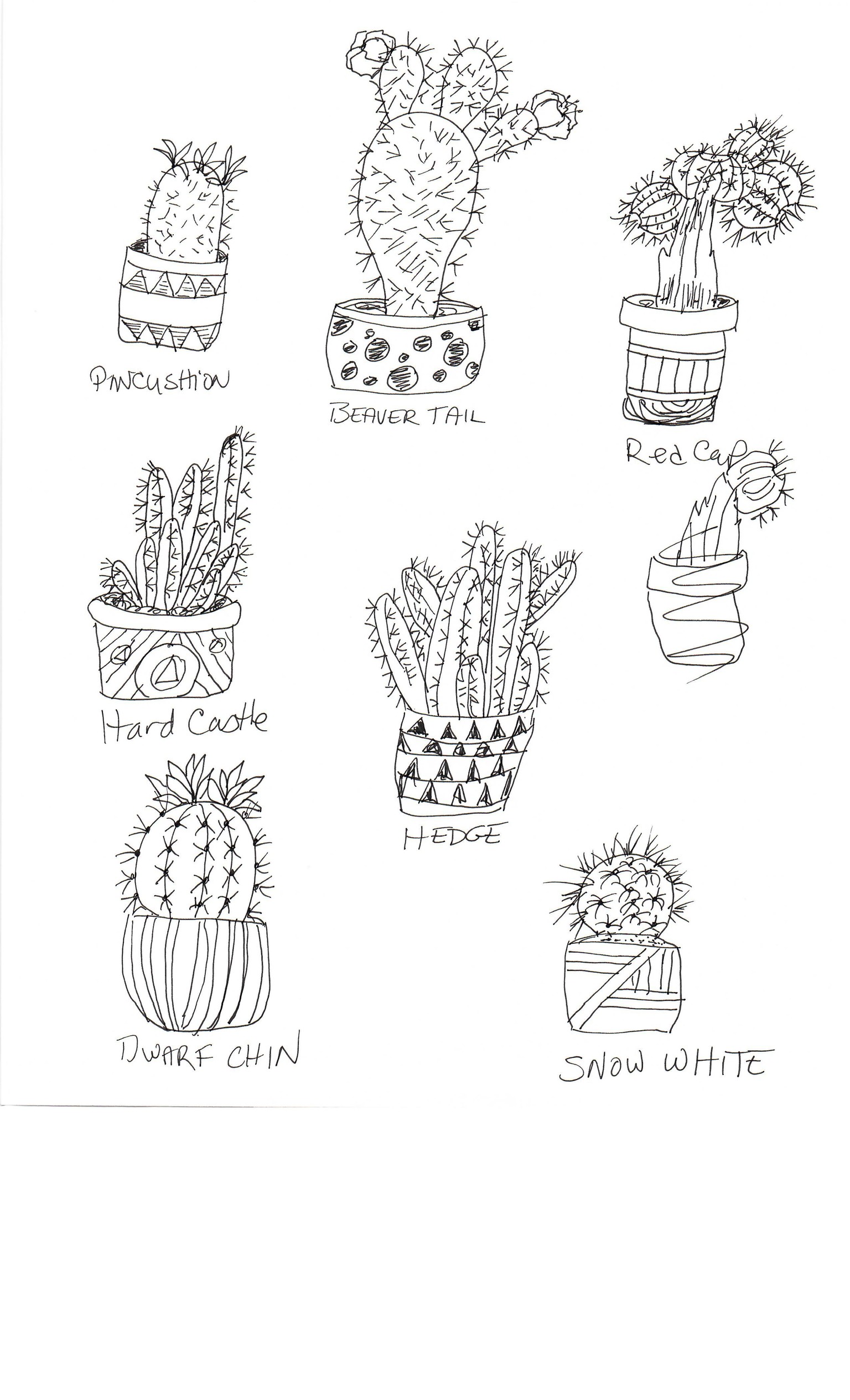 Practice Practice Practice Cactus cactus cactus. - image 1 - student project