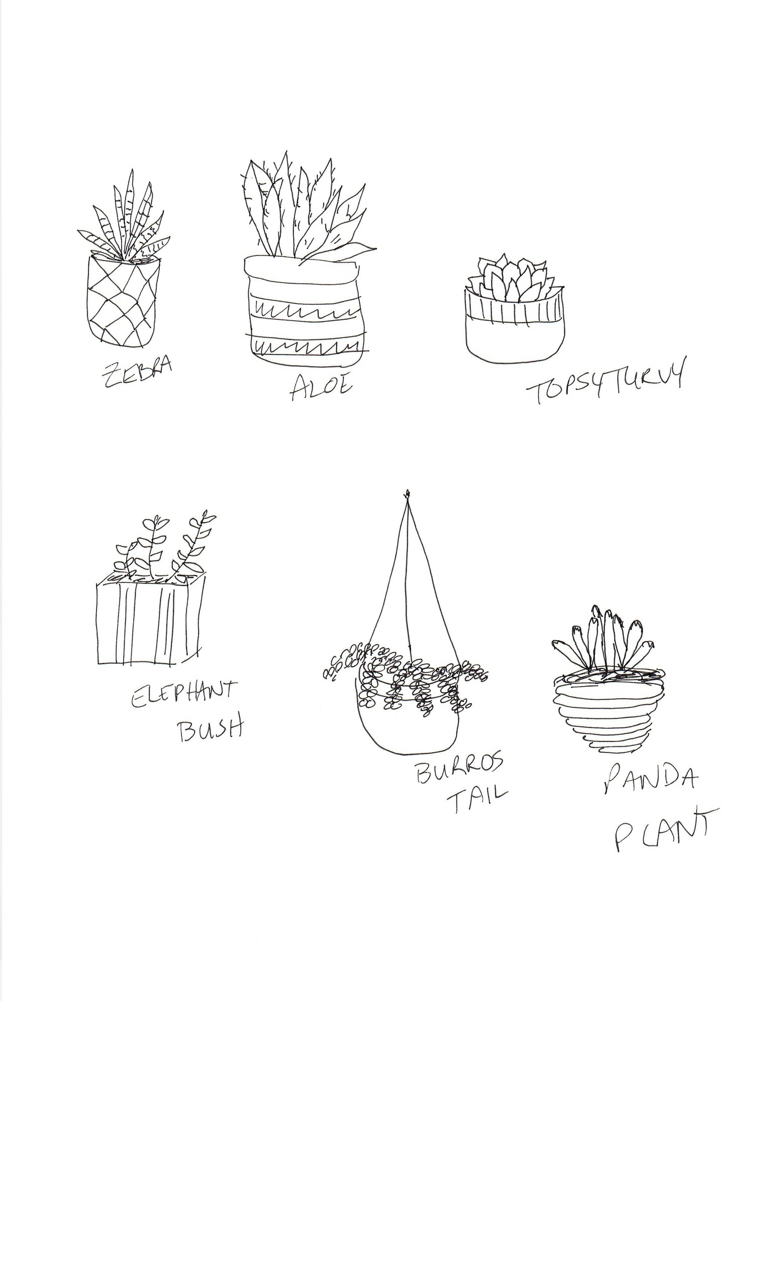 Practice Practice Practice Cactus cactus cactus. - image 3 - student project