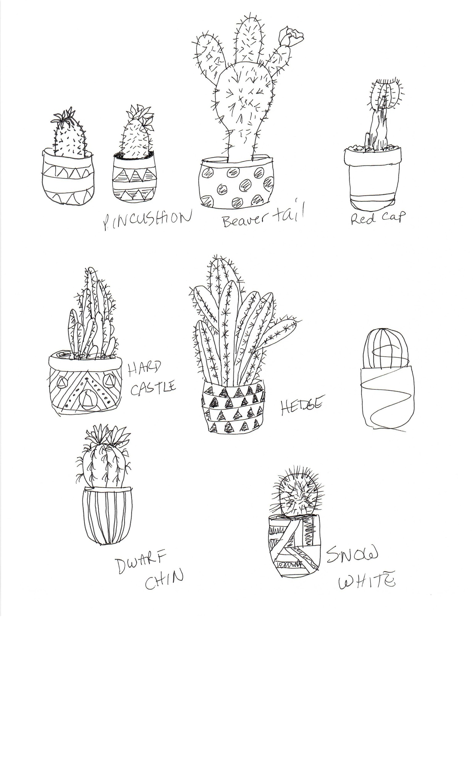 Practice Practice Practice Cactus cactus cactus. - image 4 - student project