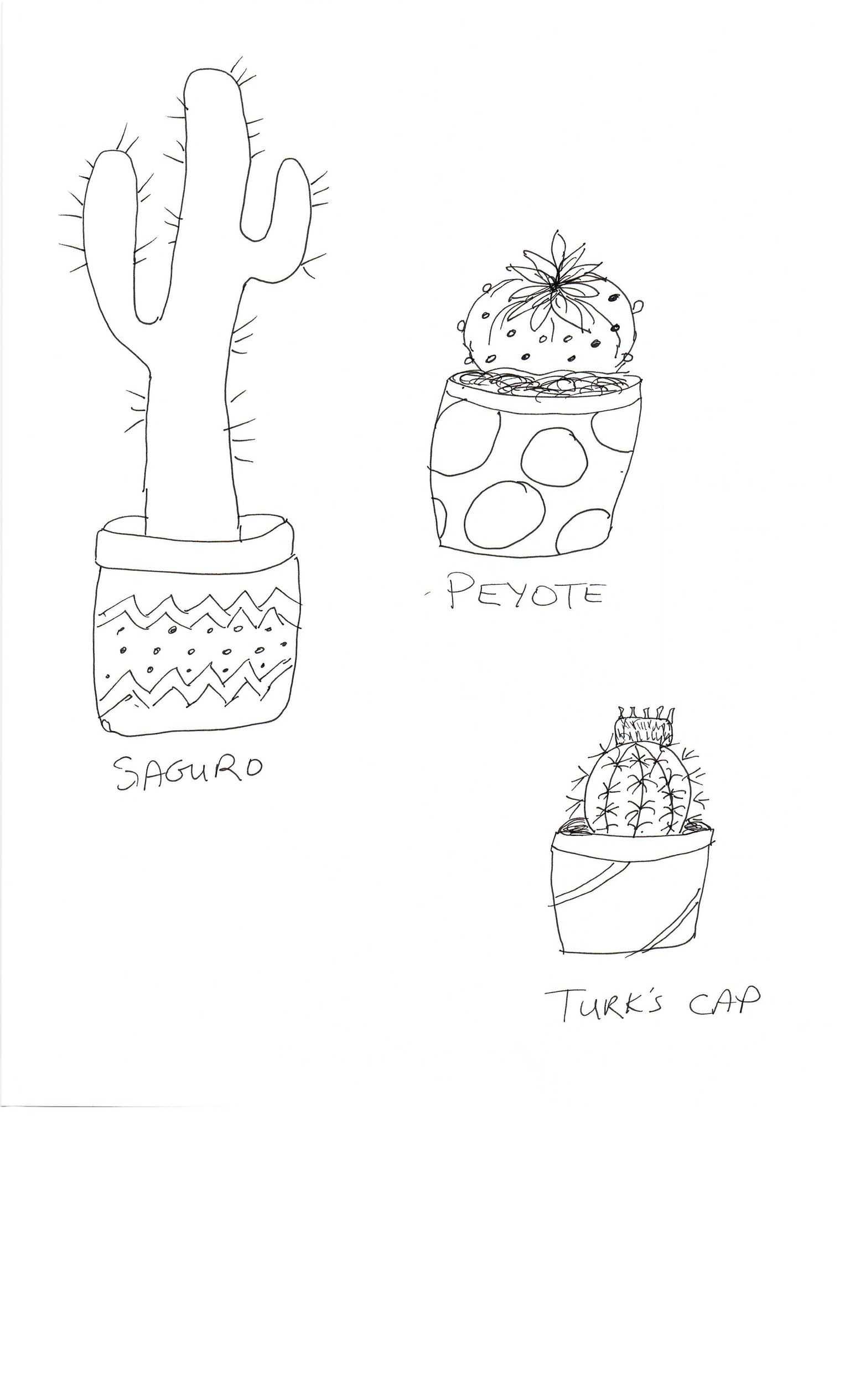 Practice Practice Practice Cactus cactus cactus. - image 9 - student project