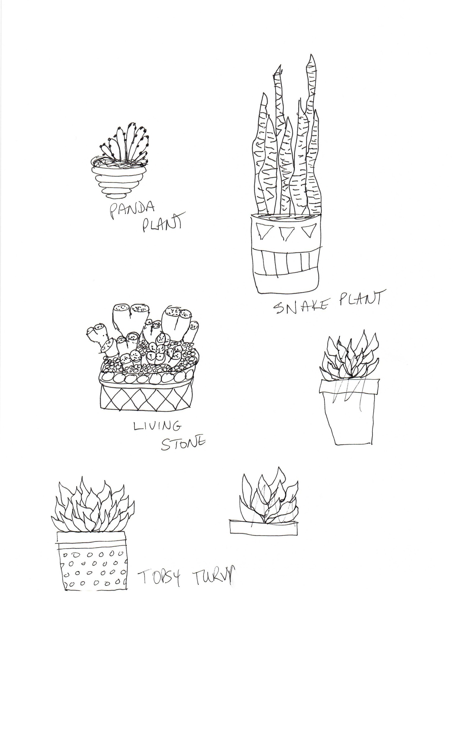 Practice Practice Practice Cactus cactus cactus. - image 6 - student project