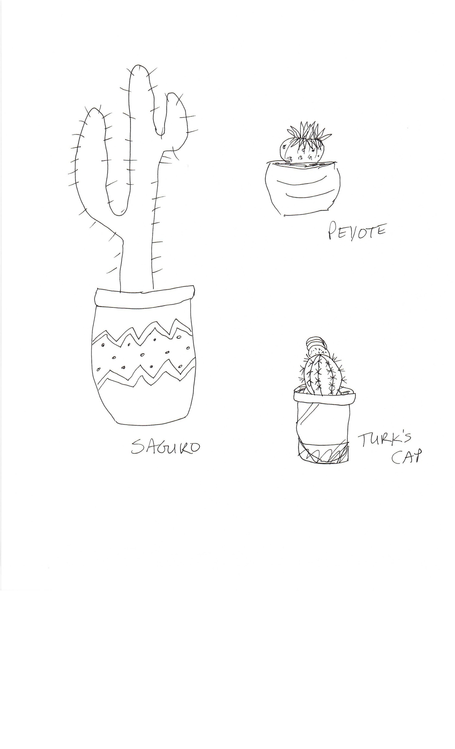 Practice Practice Practice Cactus cactus cactus. - image 8 - student project