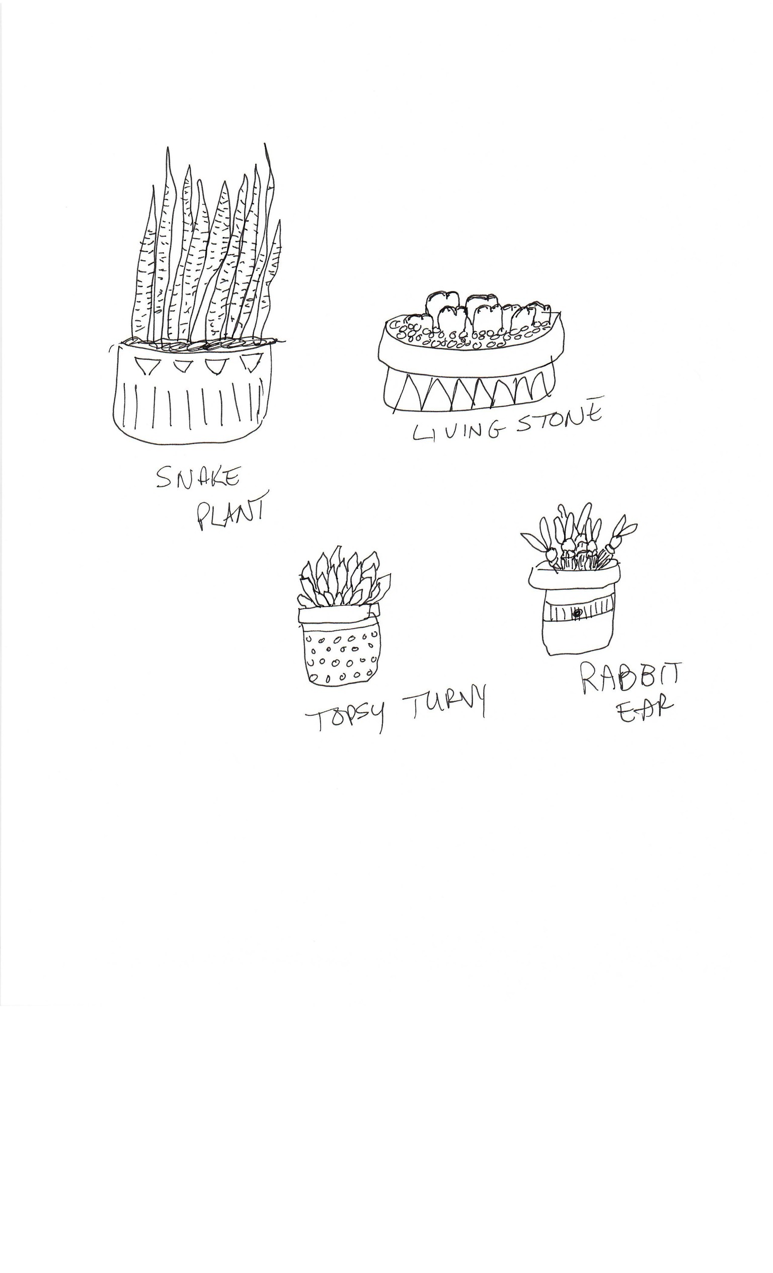 Practice Practice Practice Cactus cactus cactus. - image 2 - student project