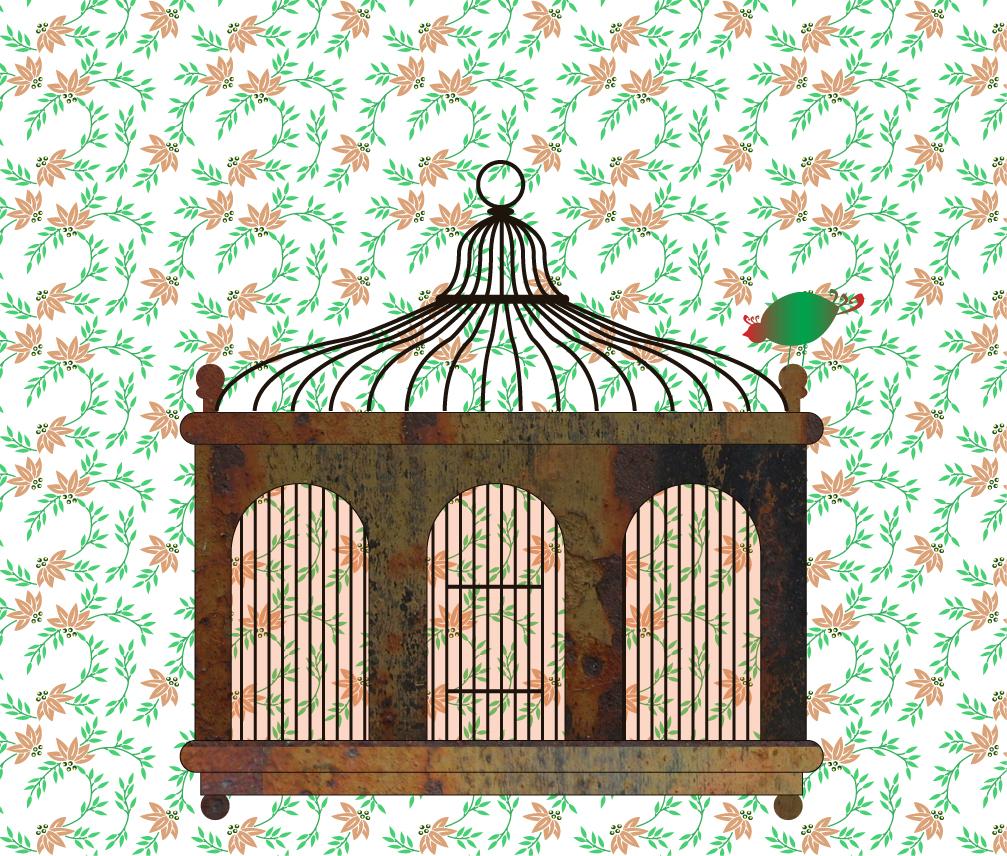My Birdcage - image 1 - student project