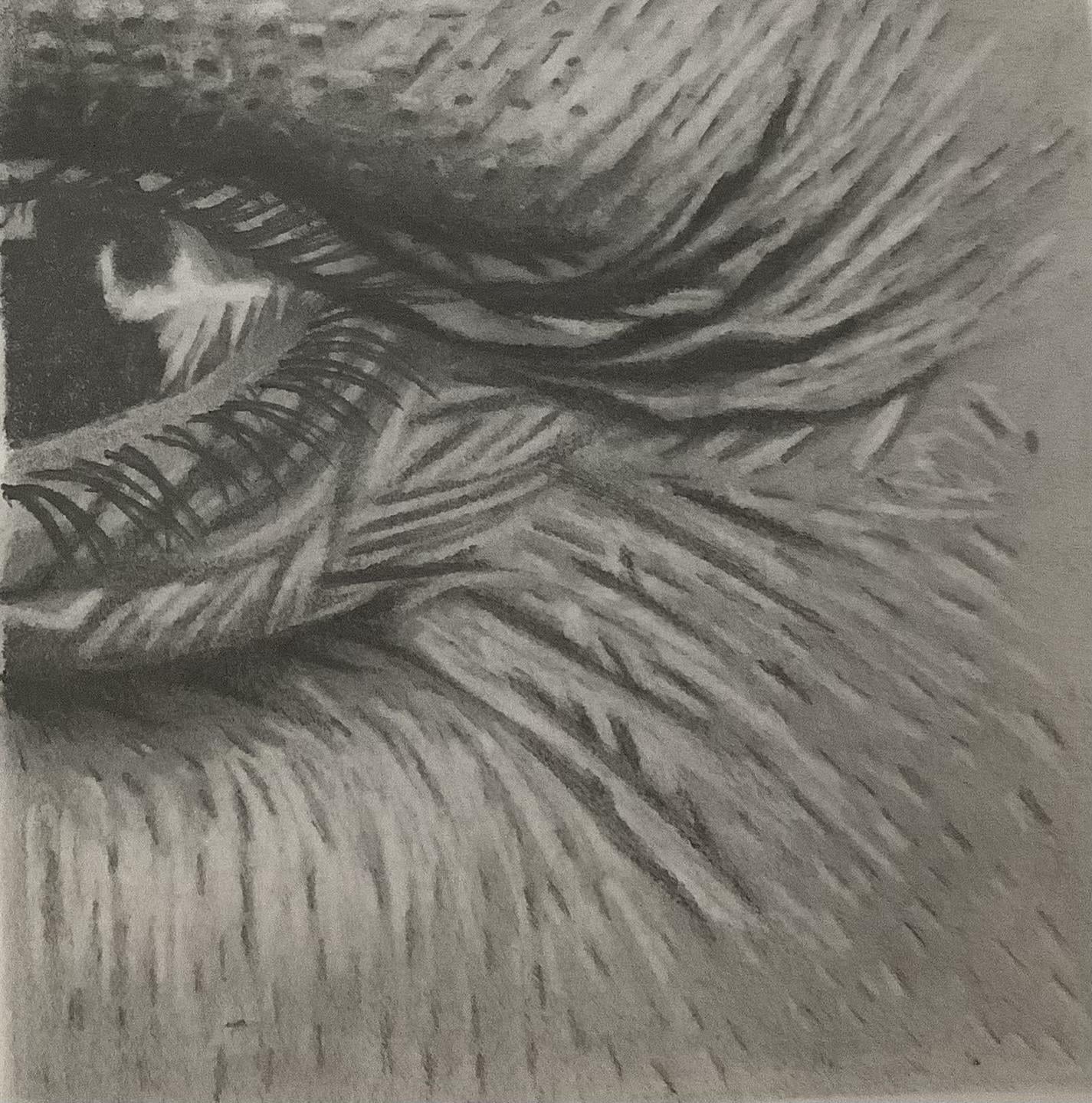 Skin texture shading - image 1 - student project