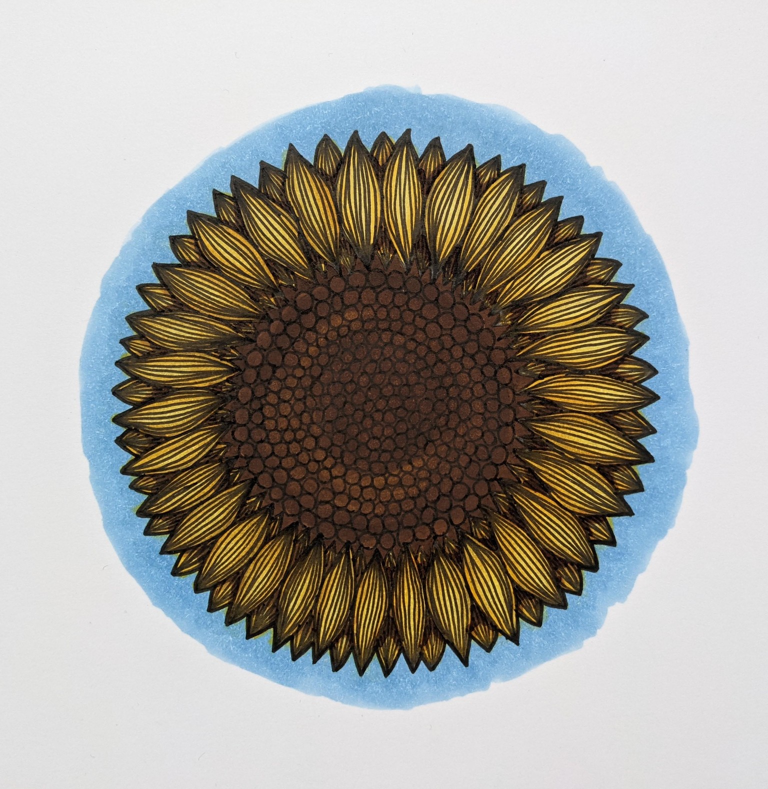 Sunflower - image 3 - student project