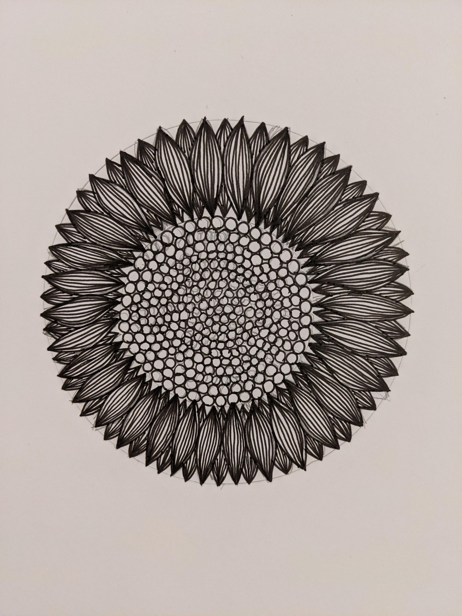 Sunflower - image 2 - student project