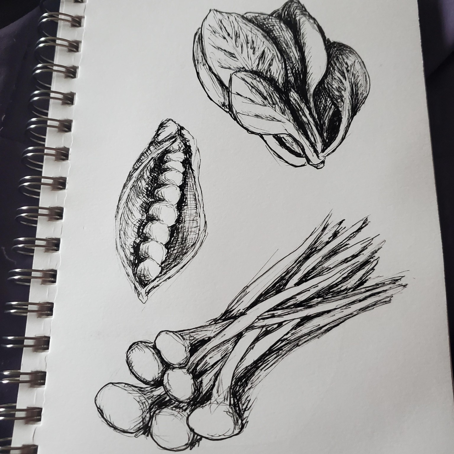 Learning to sketch - image 4 - student project