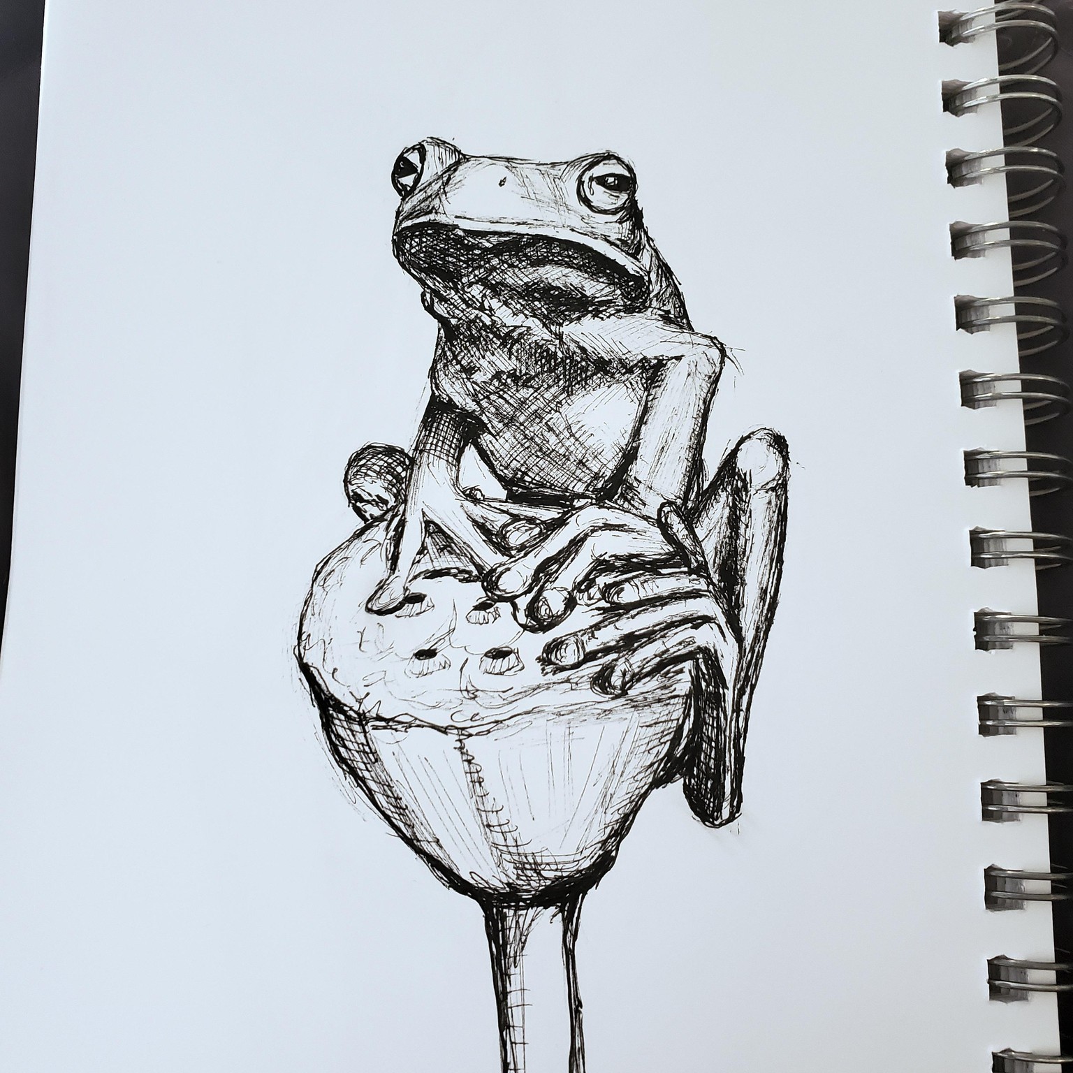 Learning to sketch - image 6 - student project