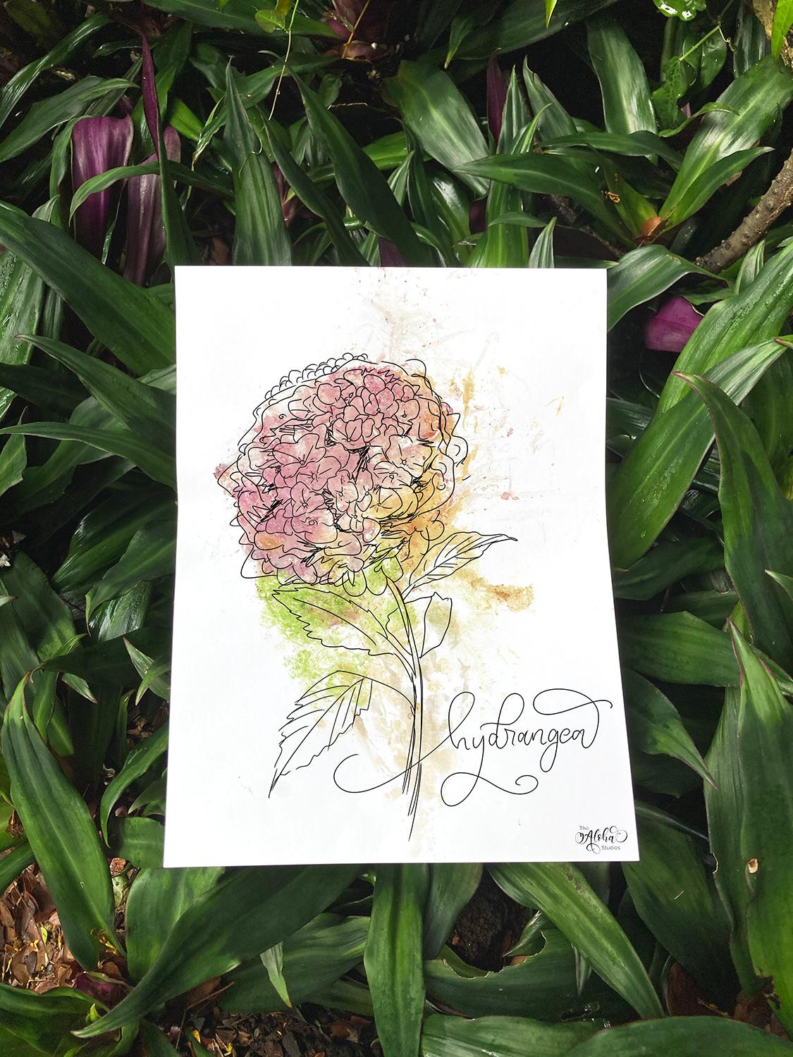 Meet Arnaud, the flower armadillo - image 4 - student project