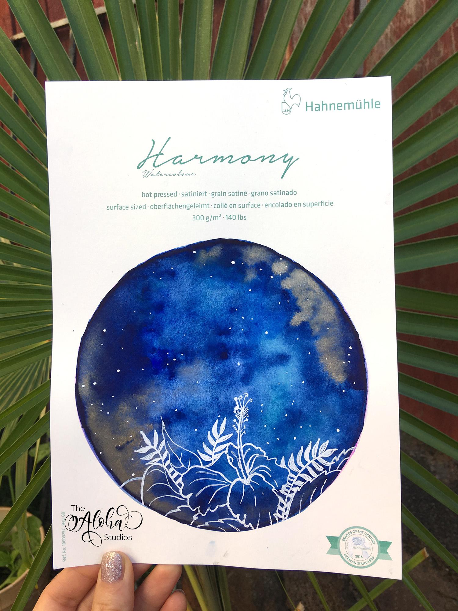 Tropical Hibiscus and deep blue galaxy - image 3 - student project