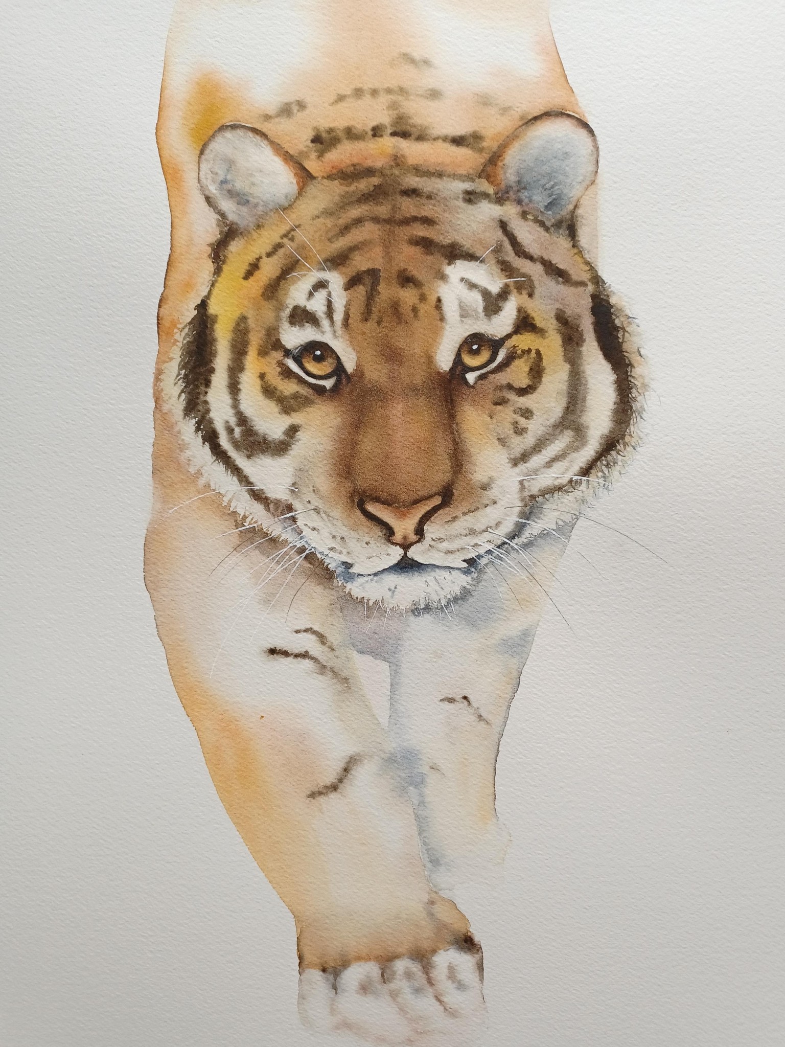 Keeshan the Tiger - image 1 - student project
