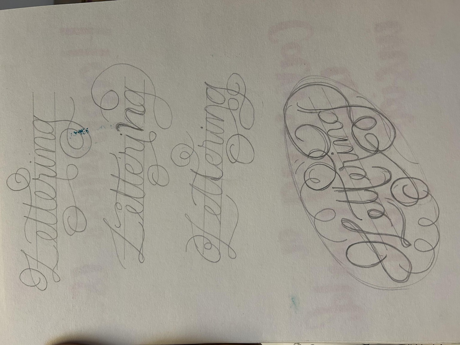 Adding flourishes - image 2 - student project